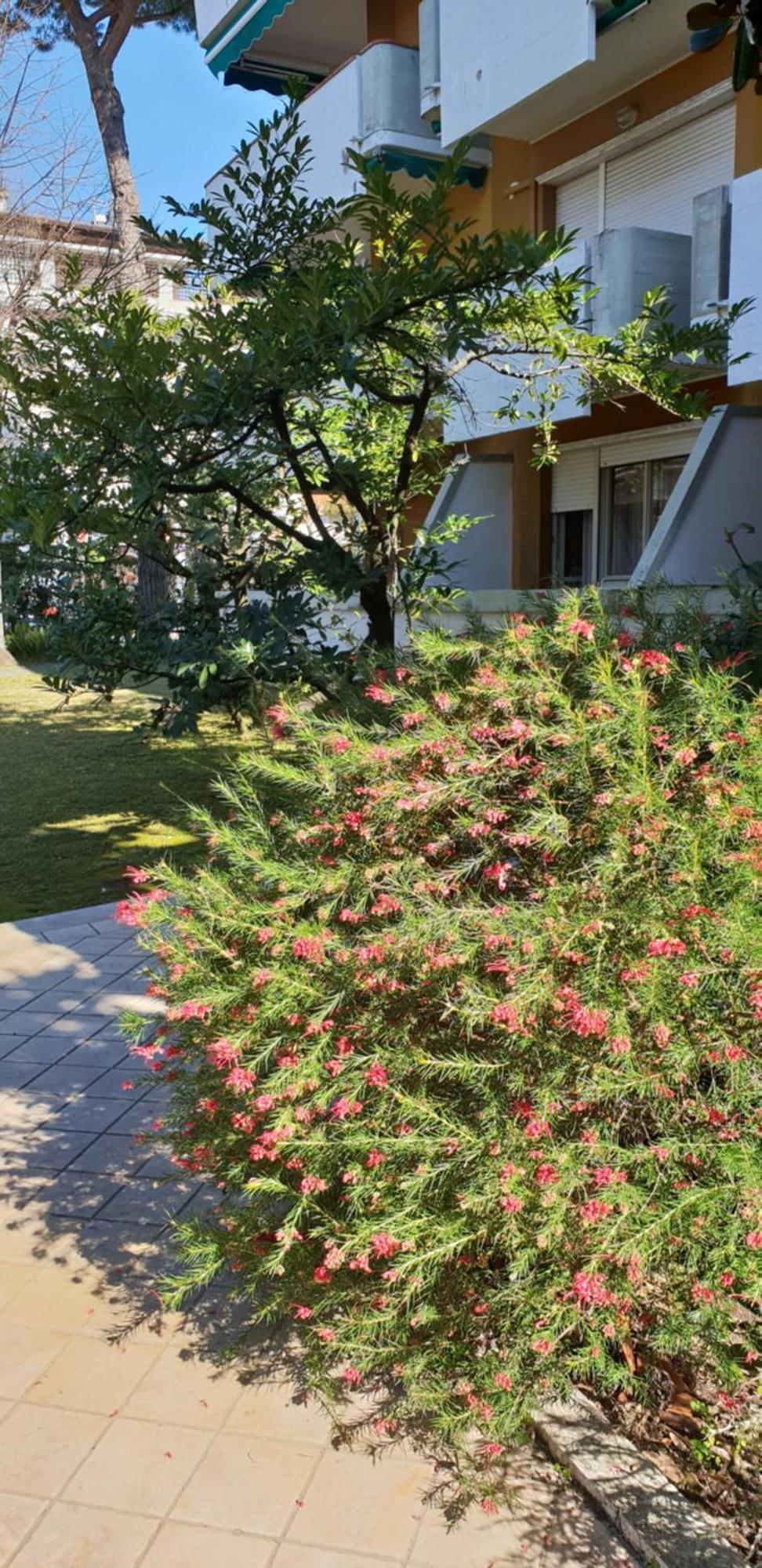 Versilia Apartment Φόρτε ντε Μάρμι Εξωτερικό φωτογραφία